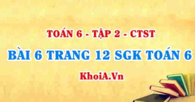 Bài 6 trang 12 SGK Toán 6 Tập 2 Chân trời sáng tạo